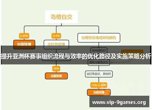 提升亚洲杯赛事组织流程与效率的优化路径及实施策略分析