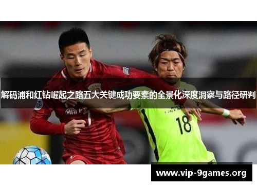 解码浦和红钻崛起之路五大关键成功要素的全景化深度洞察与路径研判